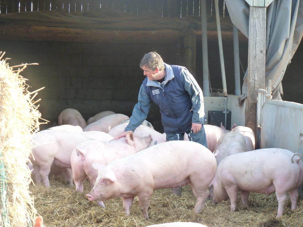 La Ferme Chauvet Acomodação com café da manhã Chantenay-Villedieu Exterior foto